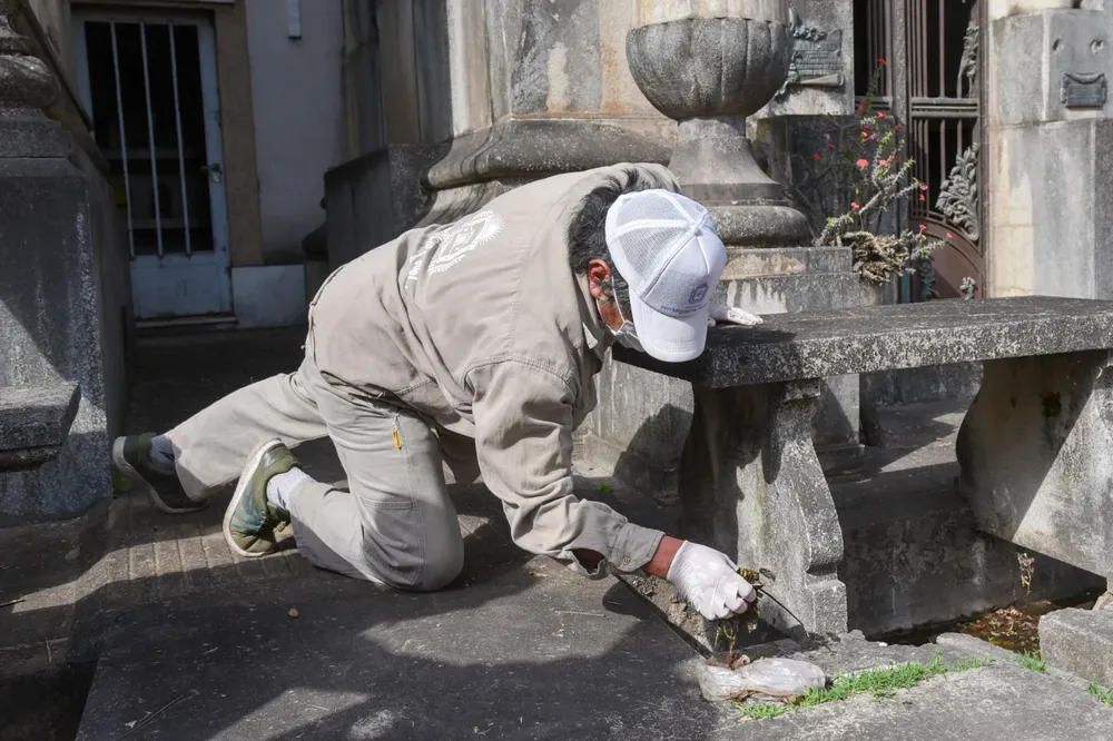 WhatsApp Image 2024-10-01 at 11.53.42 AM (1)