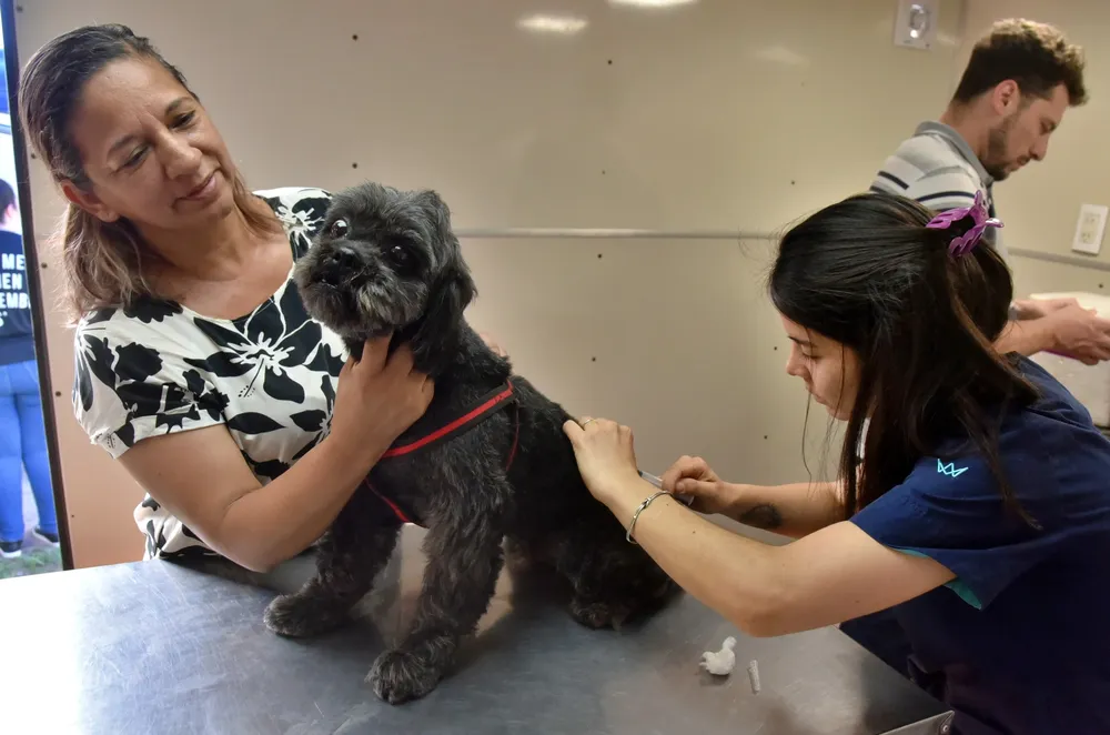 2025 un vete en tu barrio población animal -