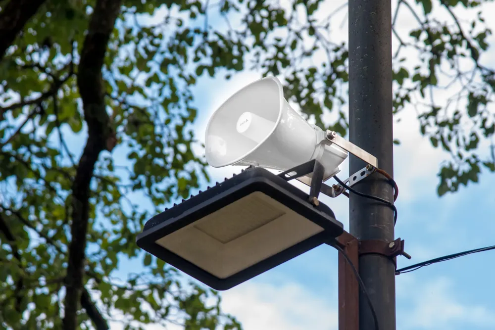 WhatsApp Image 2025-03-27 at 12.36.45 PM