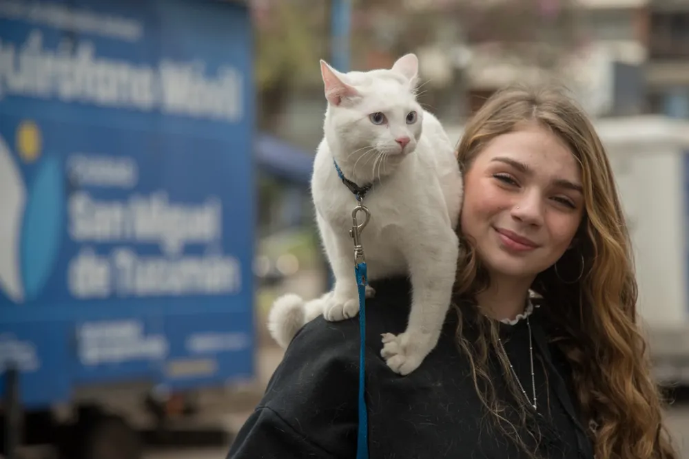 Operativo de cierre de la Semana del Gato