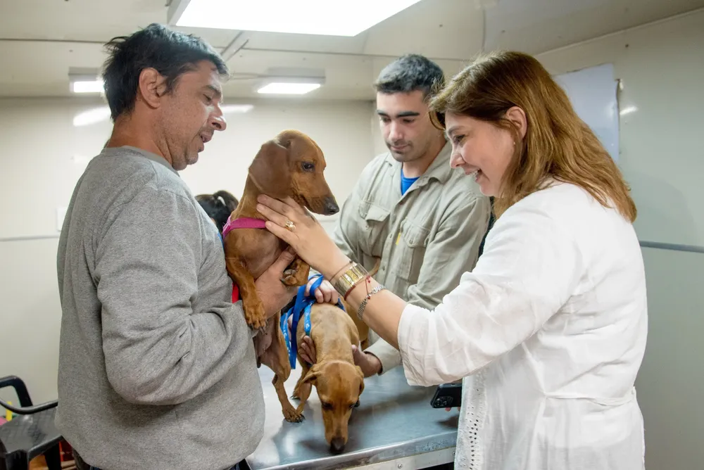 campaña salud animal plaza urquiza 4