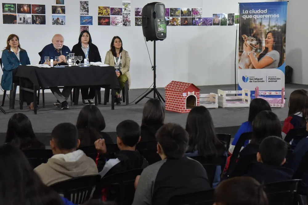 lanzamiento eco cucha y patitas amarillas - animales 1