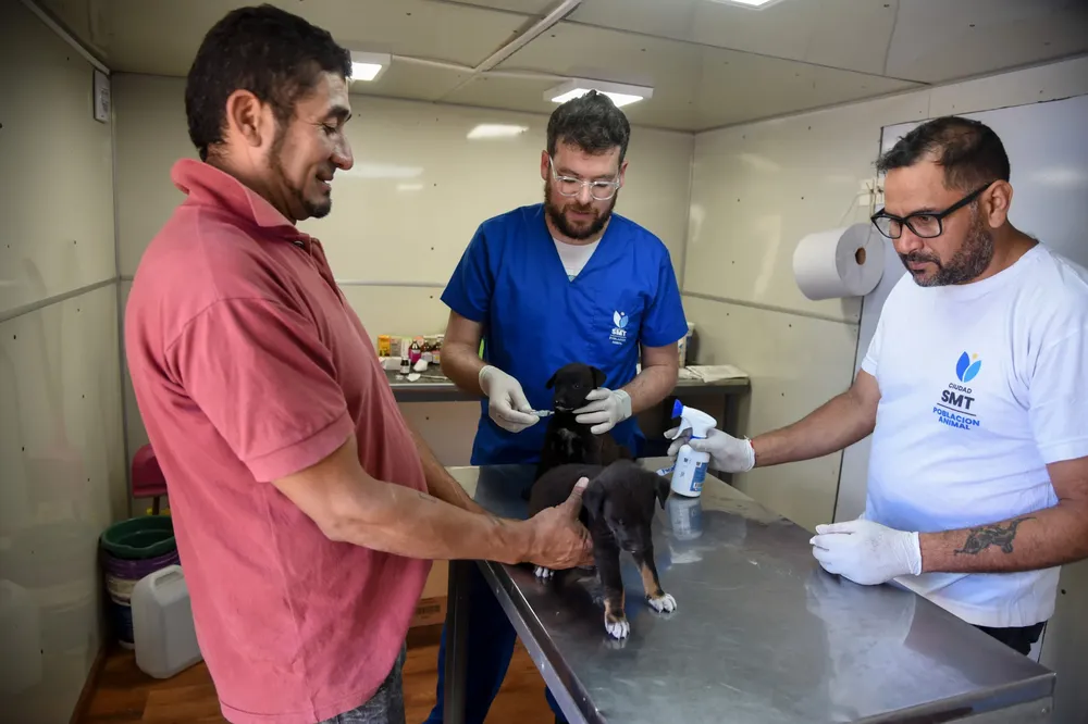 WhatsApp Image 2025-10-03 at 12.41.16 (1)