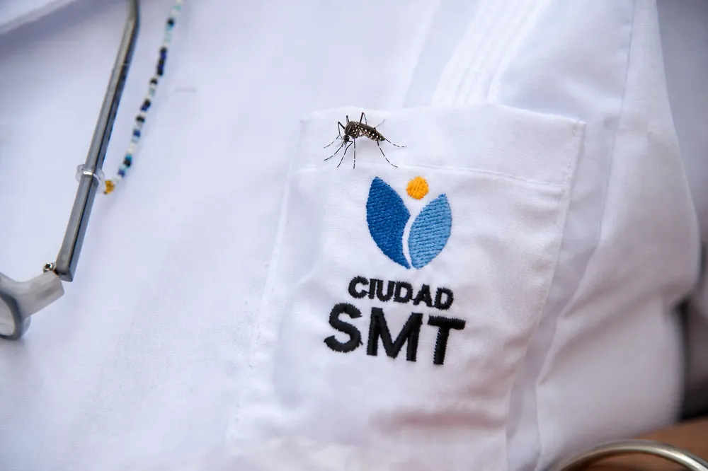 Recomendaciones ante la presencia de fiebre chikungunya