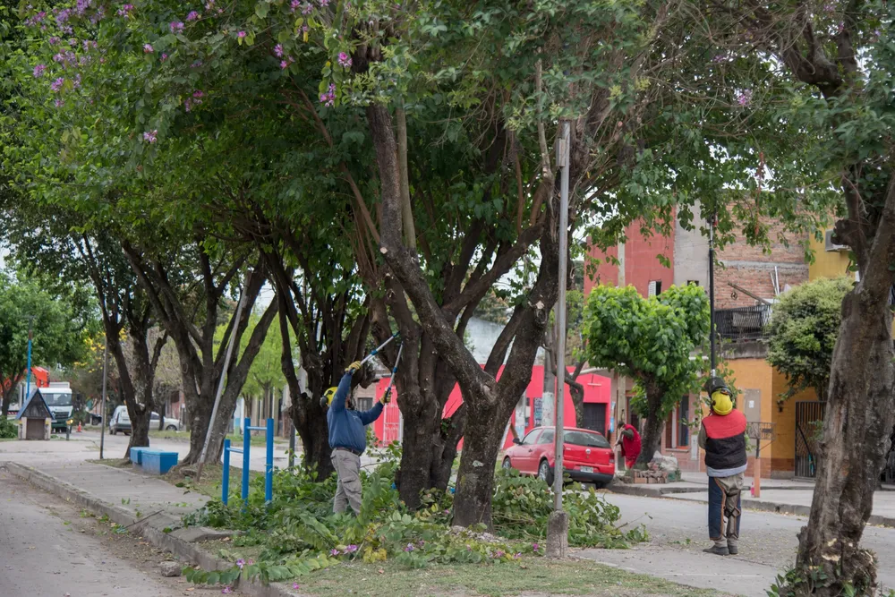 Operativo de jerarquización urbanística en Villa Amalia (2)