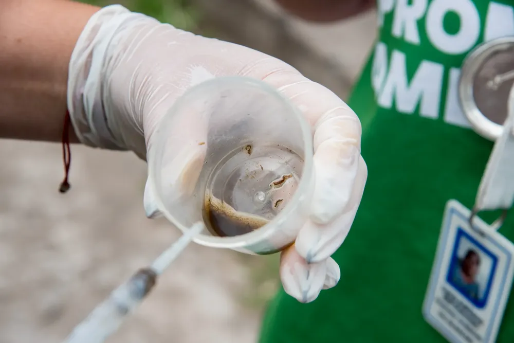 WhatsApp Image 2025-11-12 at 11.12.25