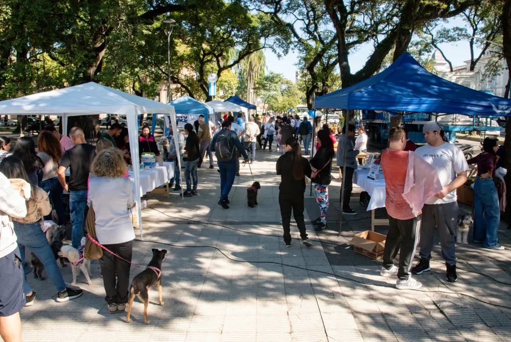 WhatsApp Image 2025-04-29 at 1.25.38 PM