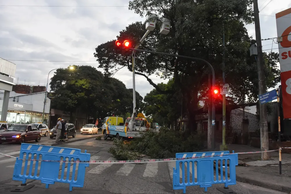 WhatsApp Image 2025-04-26 at 10.46.33 AM (1)