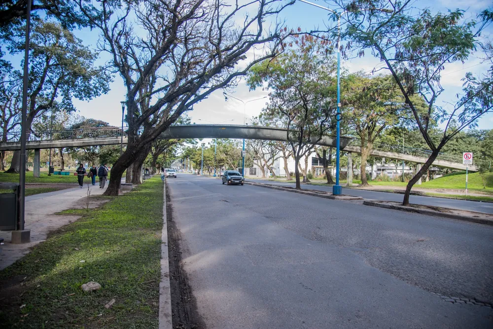 Remoción del puente de avenida Benjamín Aráoz (2)