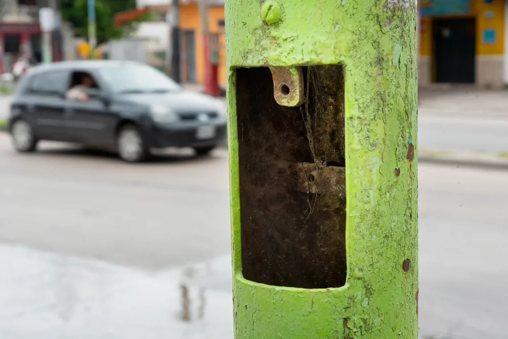 WhatsApp Image 2024-10-15 at 1.12.28 PM