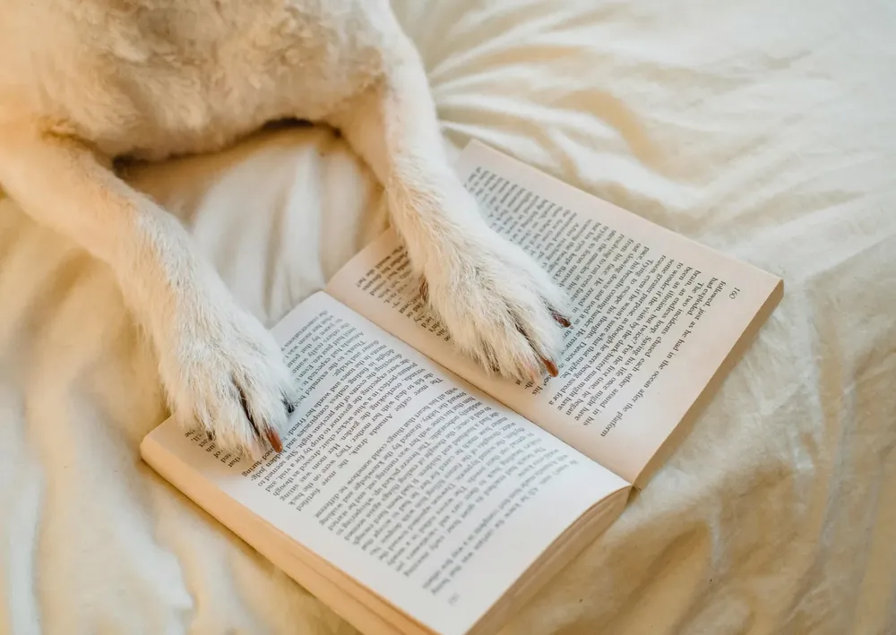 WhatsApp Image 2025-05-06 at 11.43.51 AM