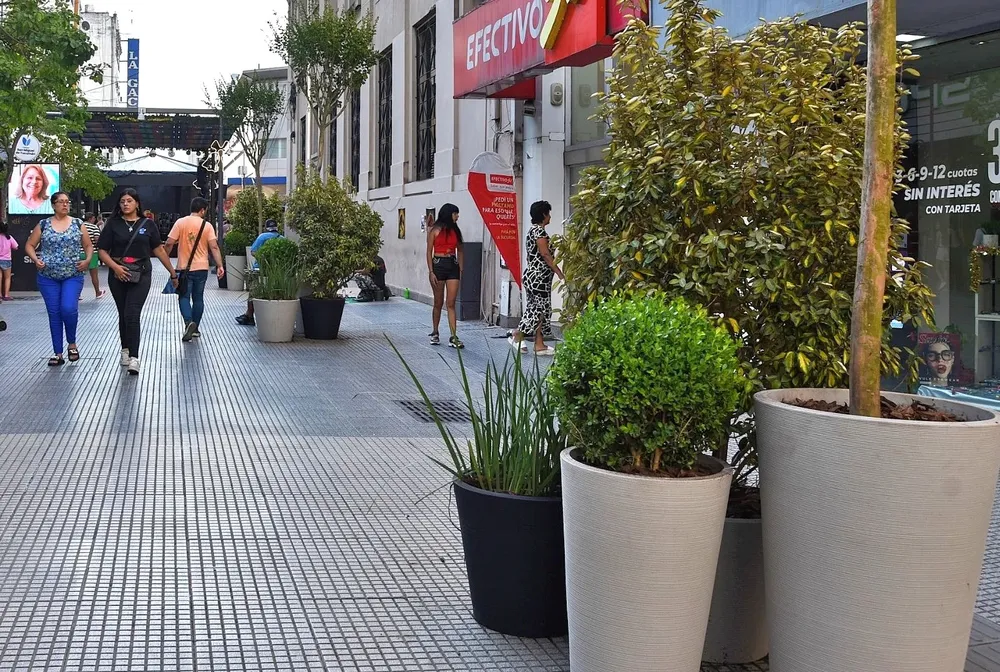 Macetas árboles en la peatonal Mendoza 9