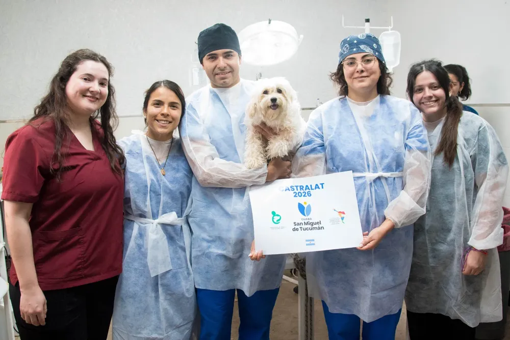 Castraciones gratuitas de perros y gatos en Castralat 2026