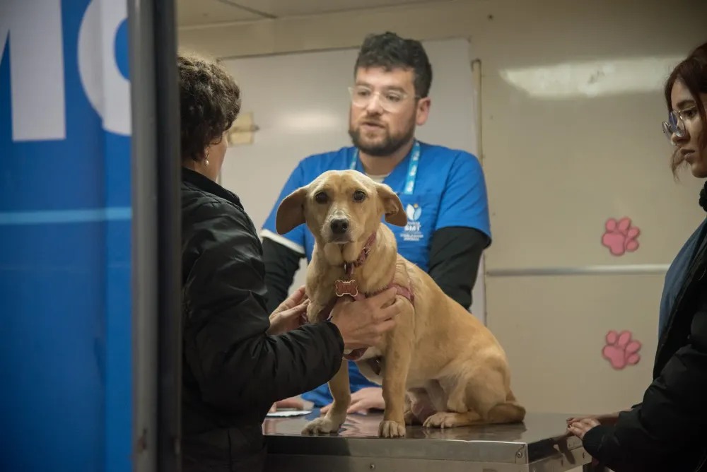 Semana del Perro- Atención veterinaria y gastraciones gratuitas (3)