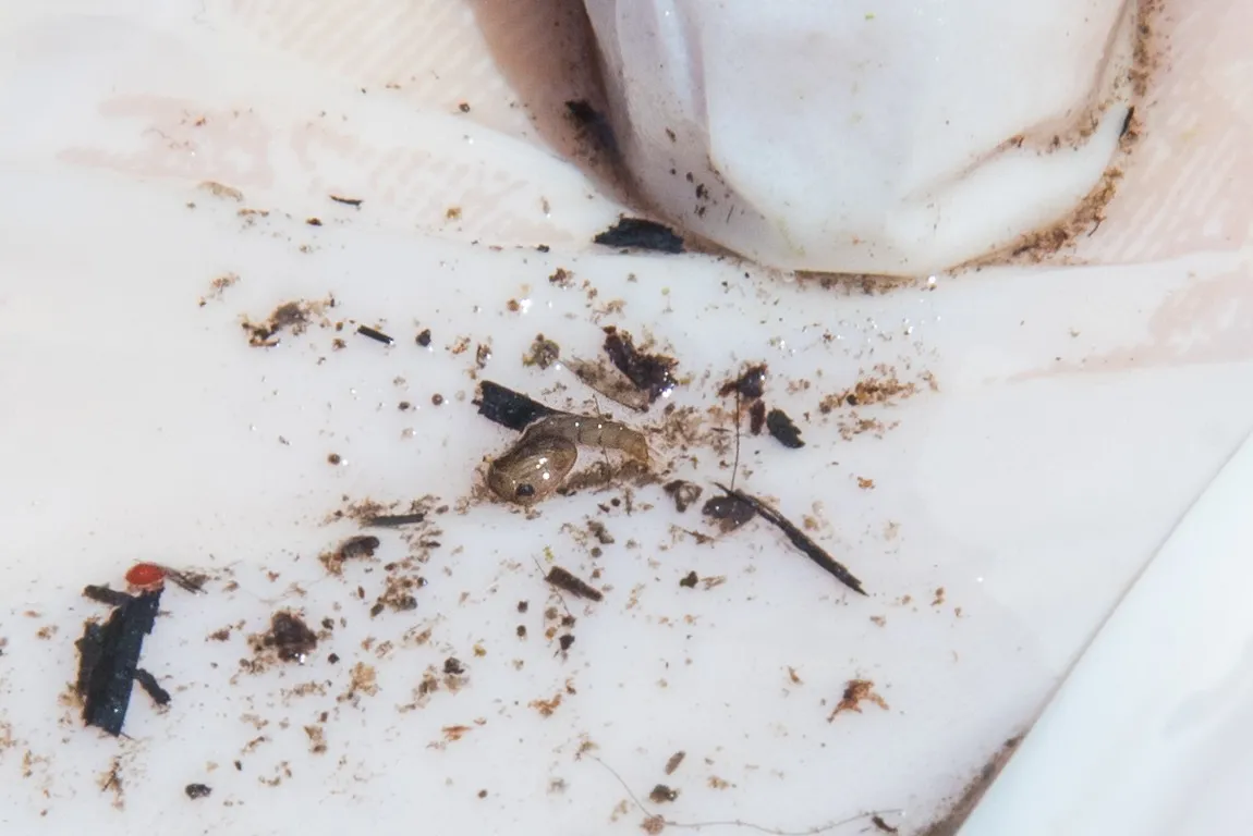 WhatsApp Image 2024-10-15 at 12.39.57 PM