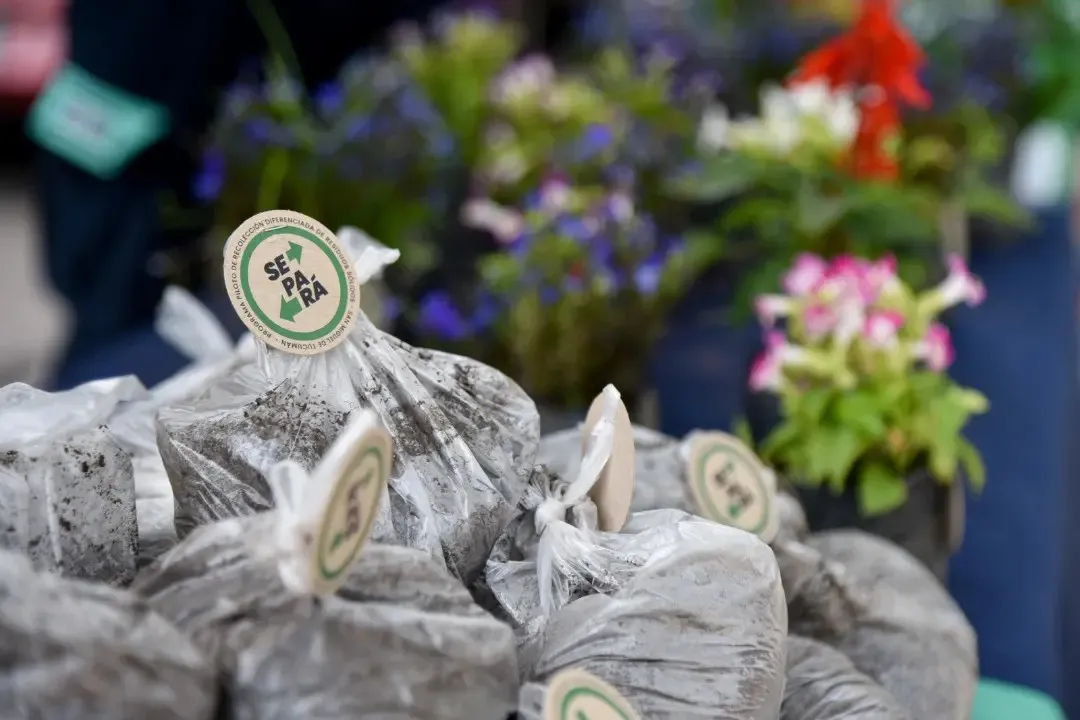 ECO CANJE 3