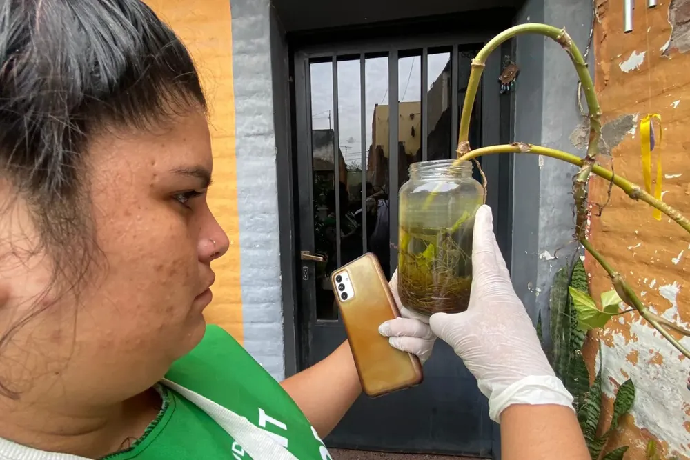 2025 salud ambiental operativos contra el dengue (2)