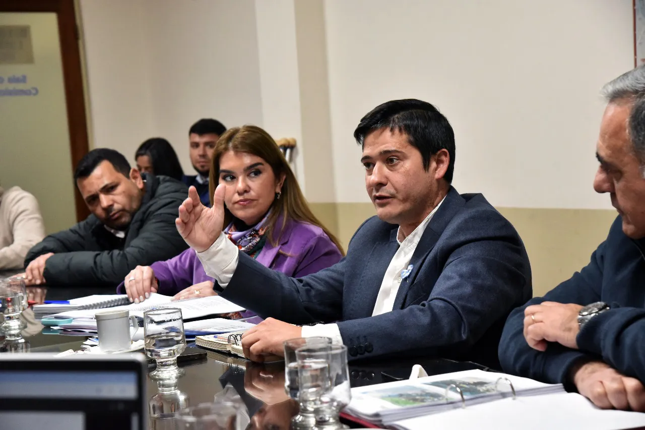 2025 informe ambiental ante concejo (2)