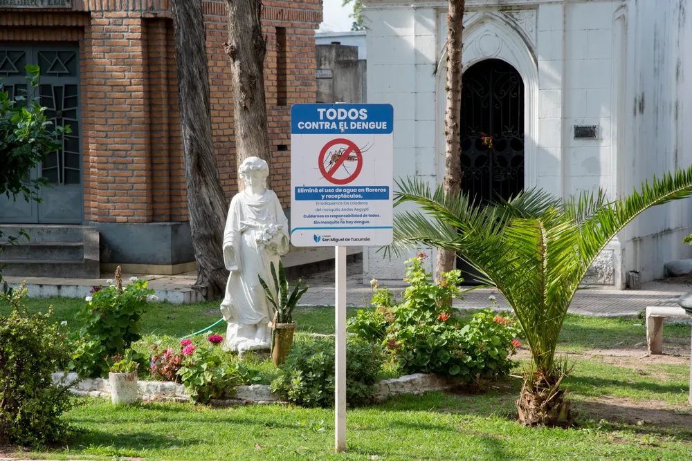 WhatsApp Image 2025-11-12 at 11.12.30