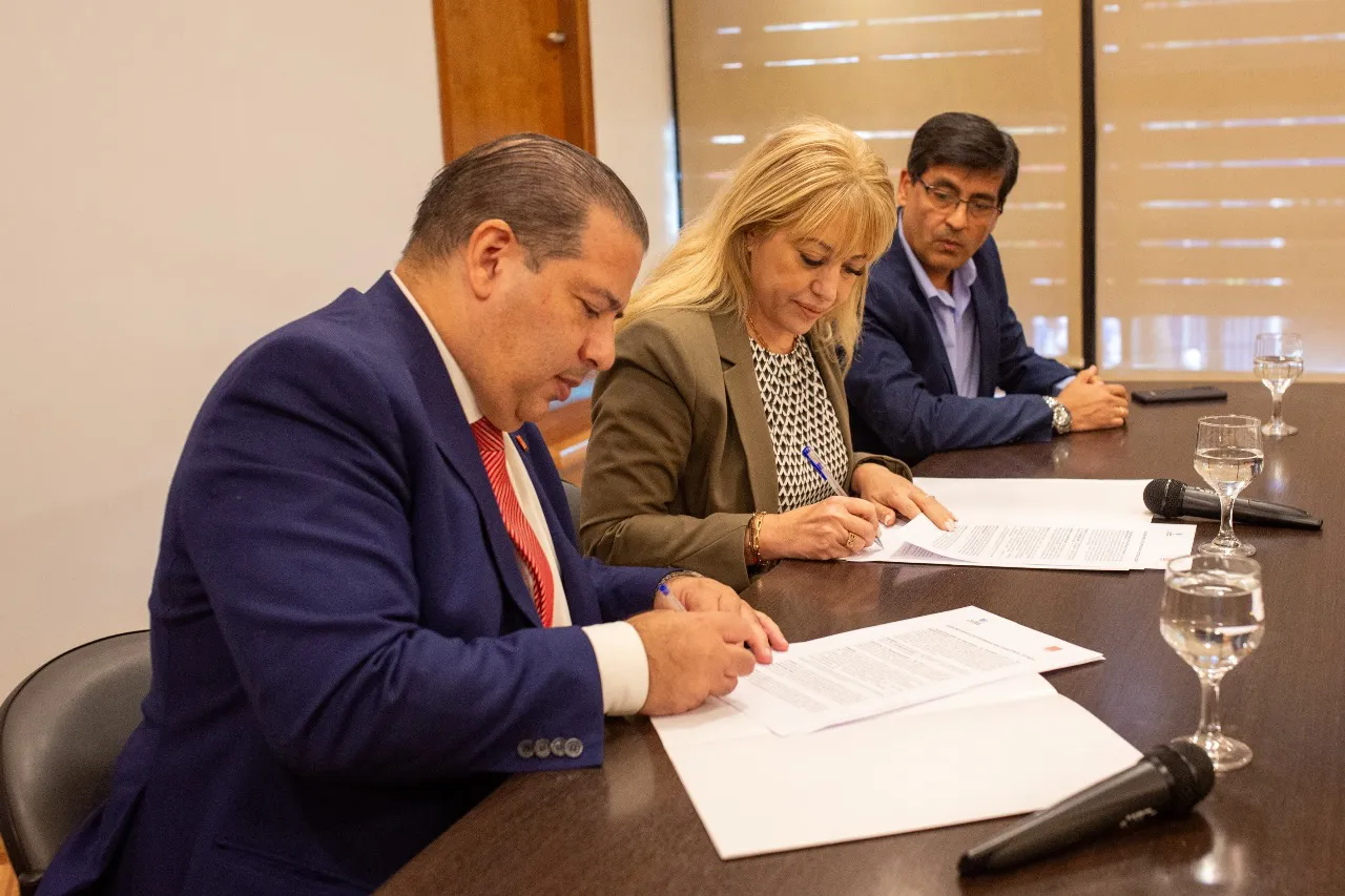 WhatsApp Image 2024-03-27 at 13.54.45