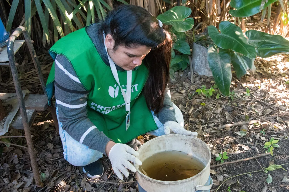 2025 control focal detección criaderos