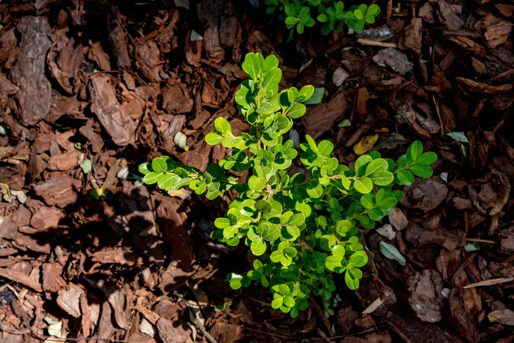 WhatsApp Image 2024-09-19 at 1.02.59 PM