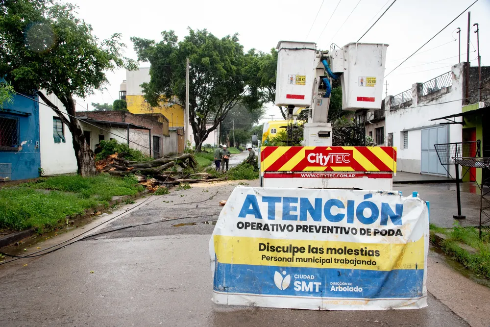2026 operativo árboles temporal (1)