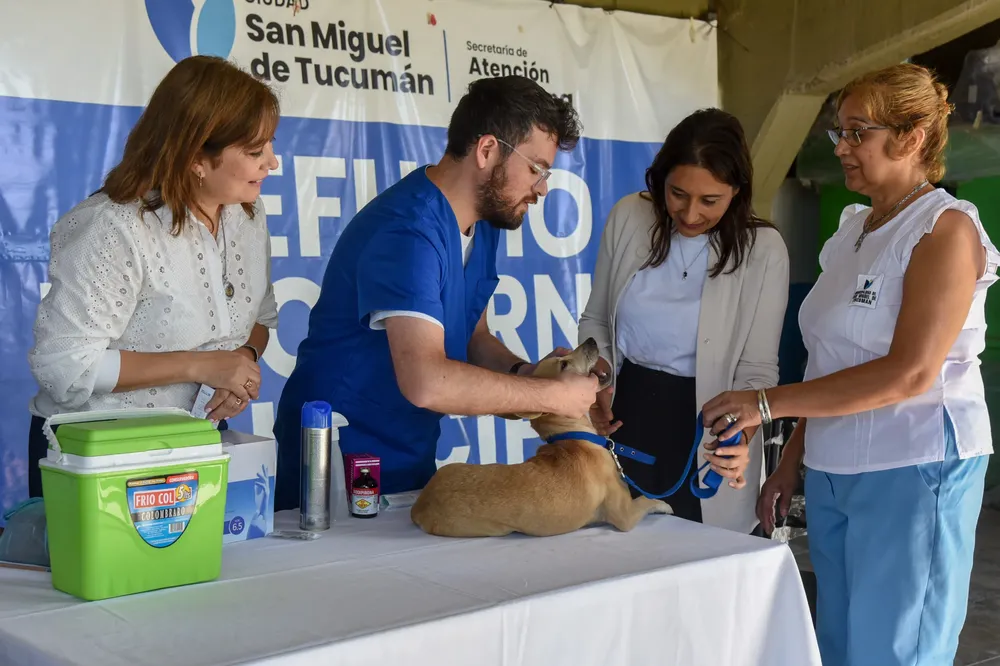 WhatsApp Image 2025-04-03 at 1.19.07 PM