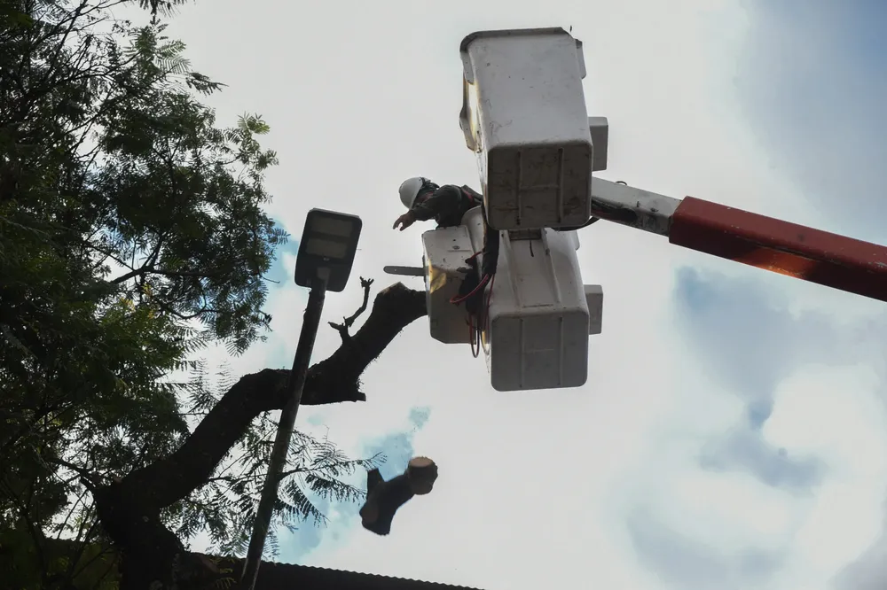 WhatsApp Image 2025-04-26 at 10.46.33 AM (2)