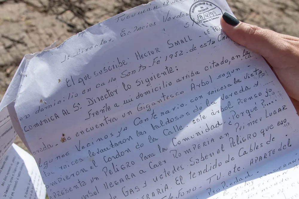 poda de arbol barrio el bosque 4