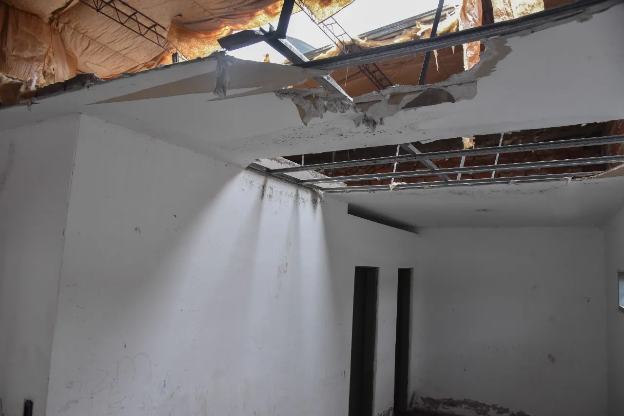 WhatsApp Image 2024-01-19 at 13.34.02