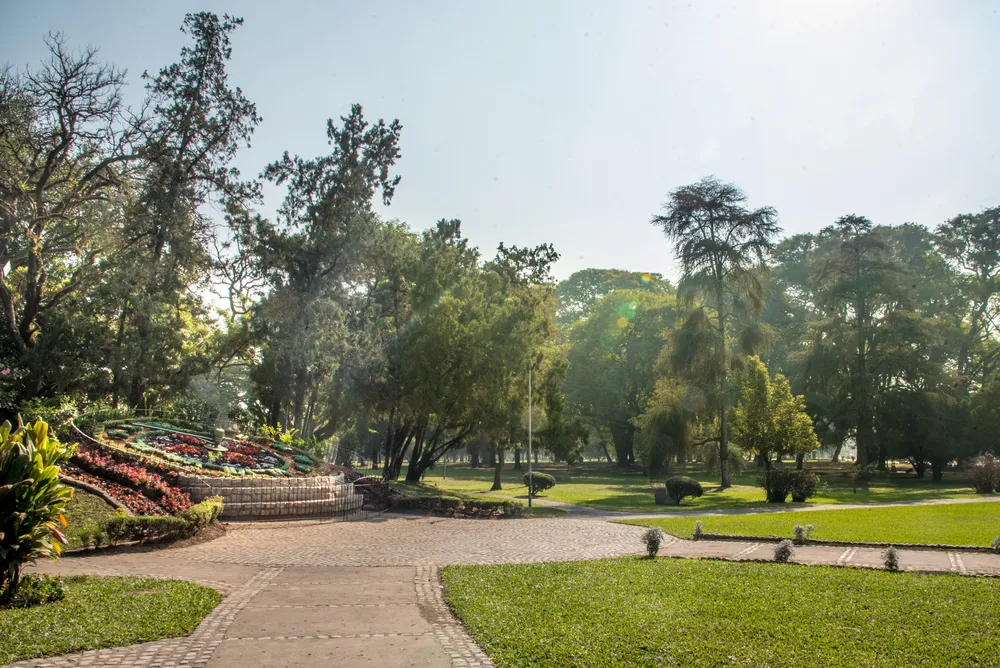 Reloj Parque (12)