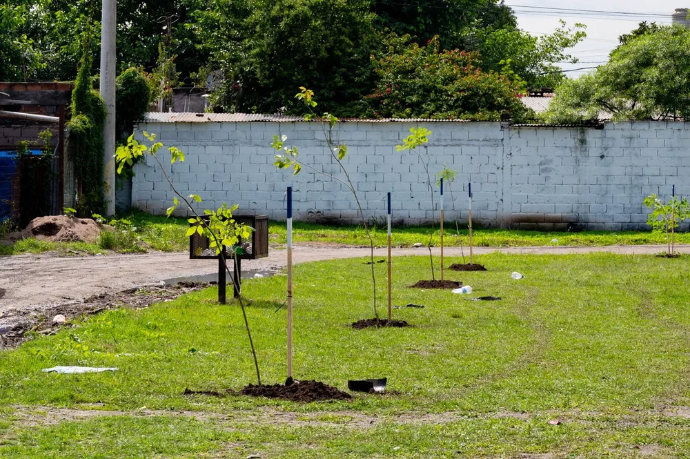 Operativo de mejora urbanística en La Migueleta (5)