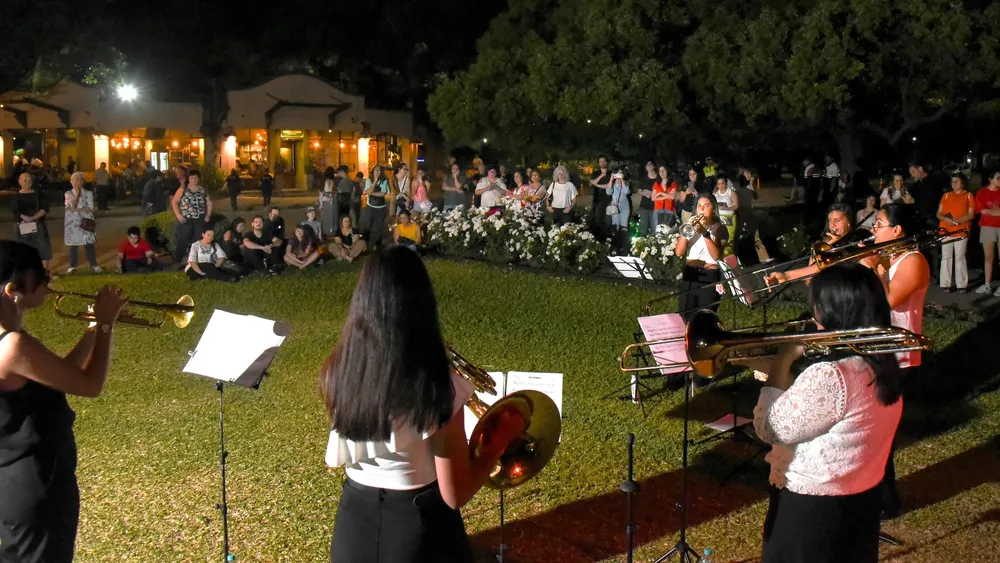 Bus Turistico Parque 9 de Julio  (38)