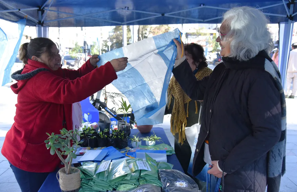 eco canje bandera ambiente