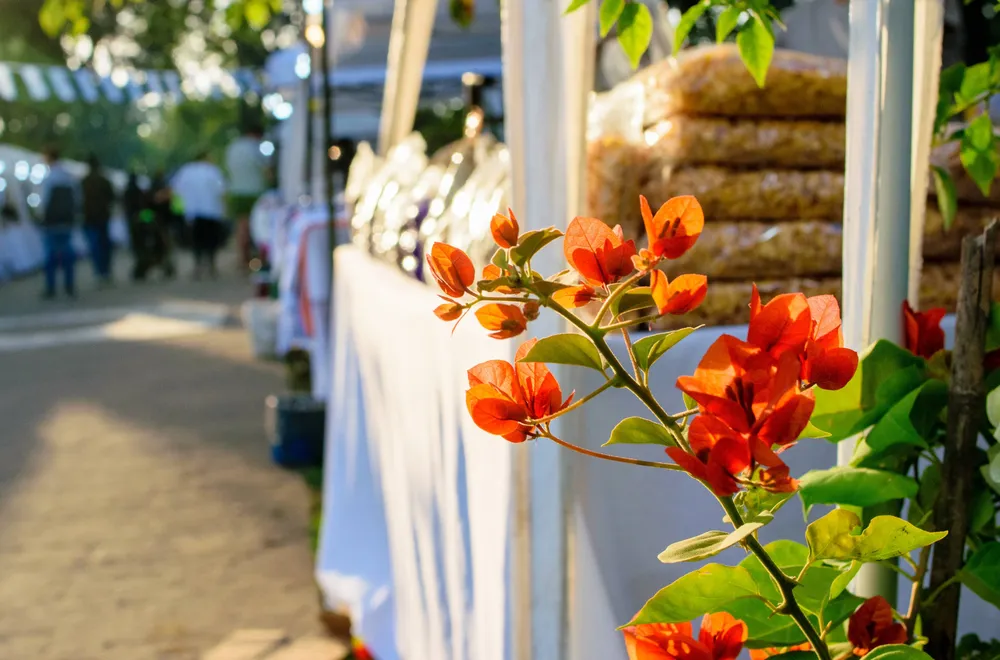 FERIA parque avellaneda septiembre 2024 3