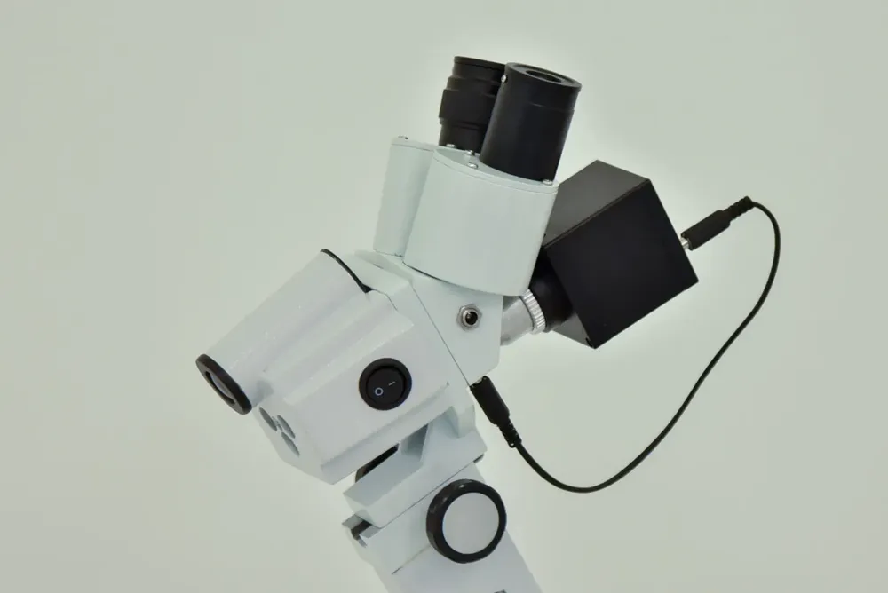 WhatsApp Image 2024-08-15 at 11.57.01 AM (1)