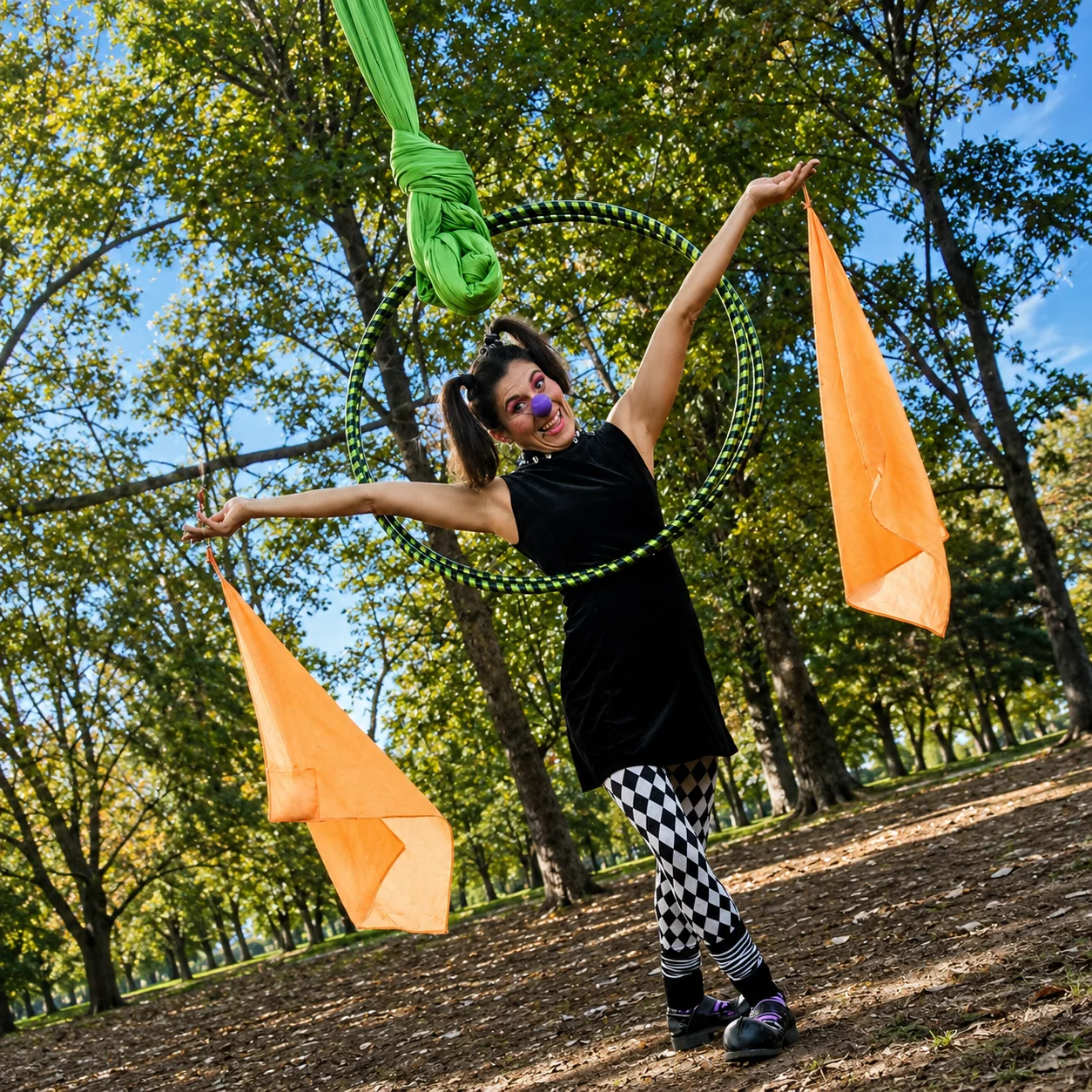 Mariposa quiere volar