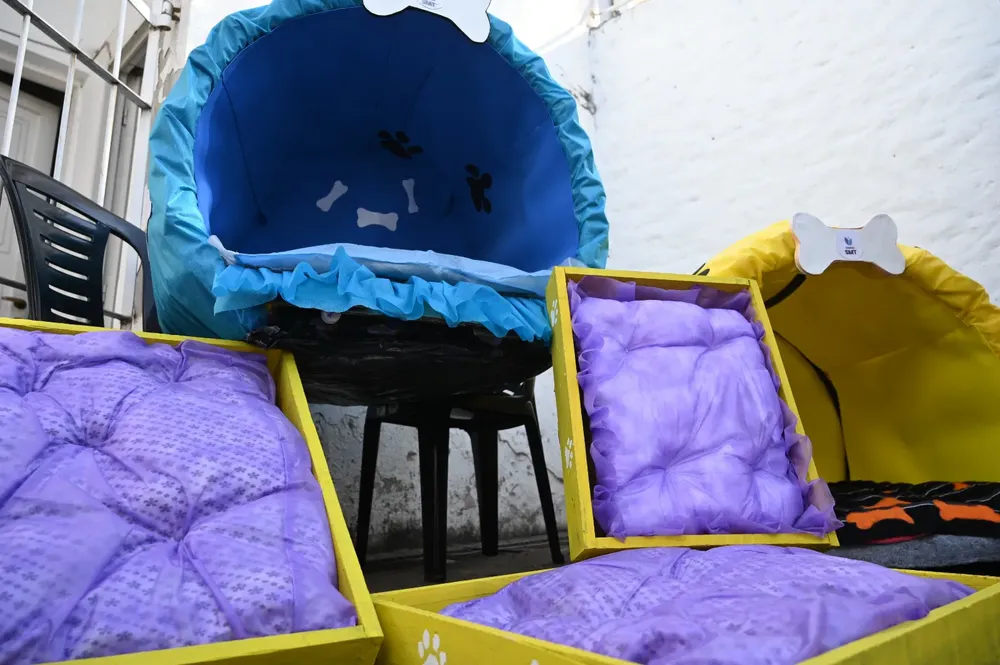 WhatsApp Image 2025-08-22 at 13.24.37 (1)