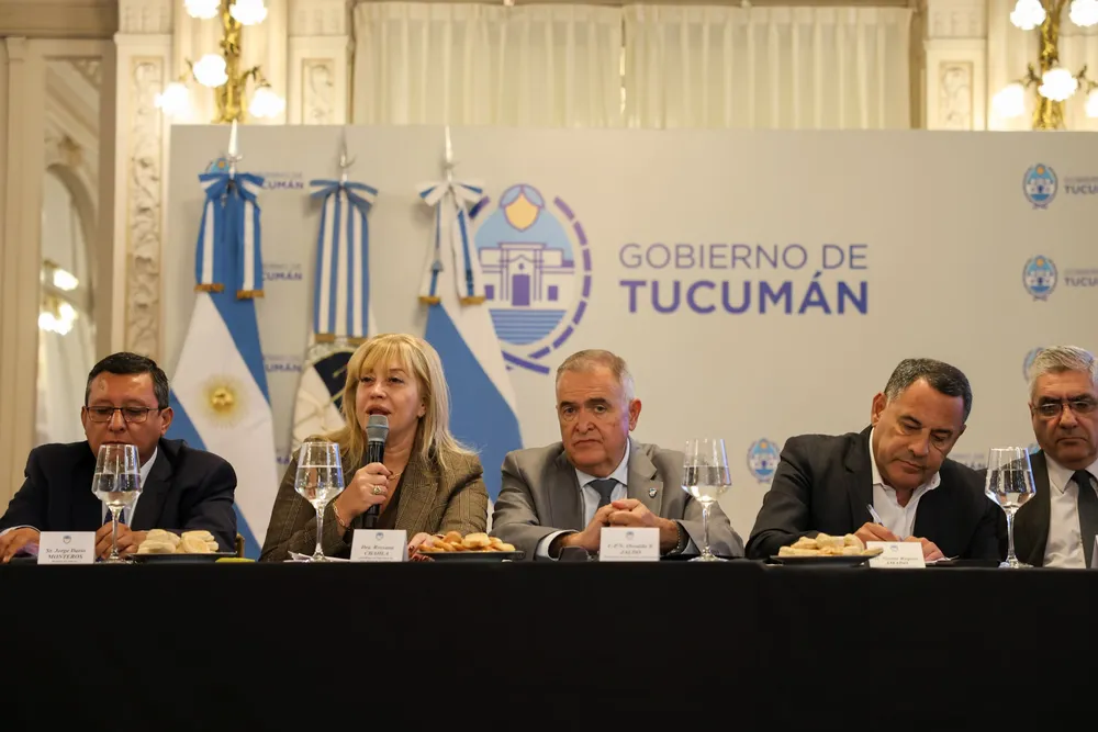 WhatsApp Image 2025-05-05 at 2.13.16 PM