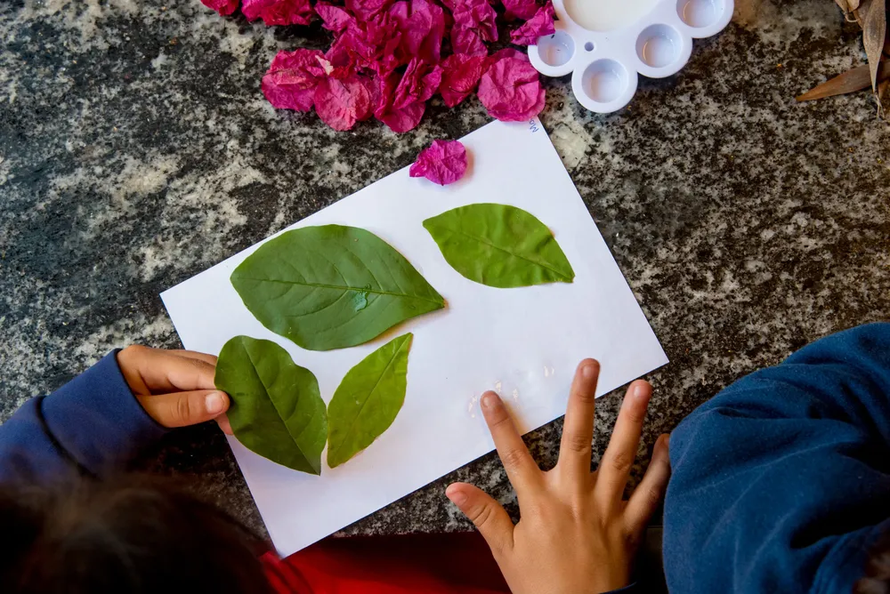 2025 campus educativo ambiental visitas (1)