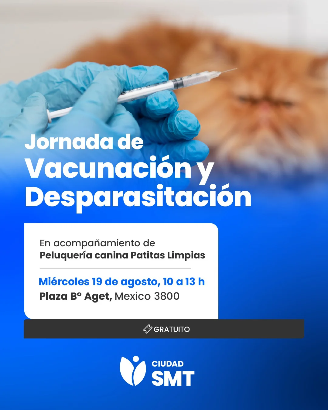 flyer población animal