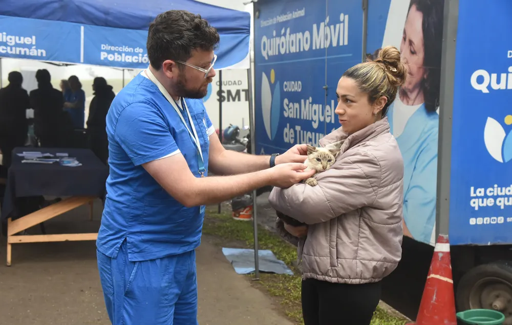 2026 población animal semana del gato agosto