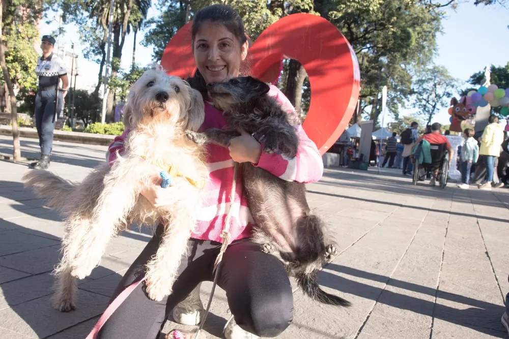 Festejo por el Día del Animal 2026 en Plaza Independencia