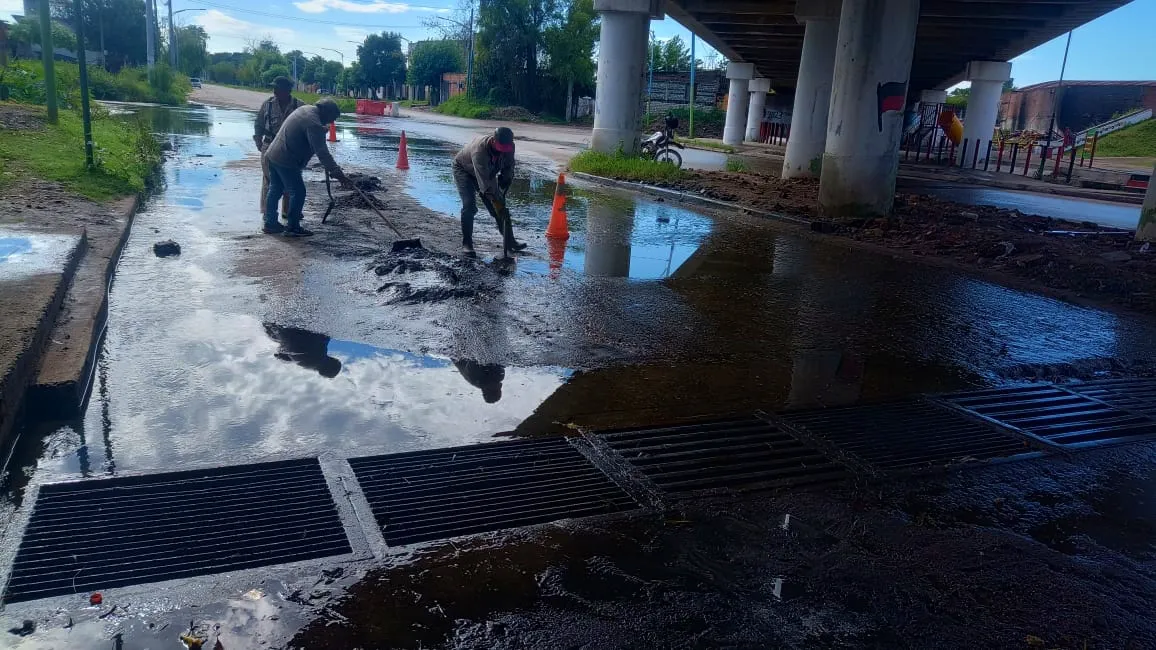 WhatsApp Image 2024-01-29 at 10.25.19