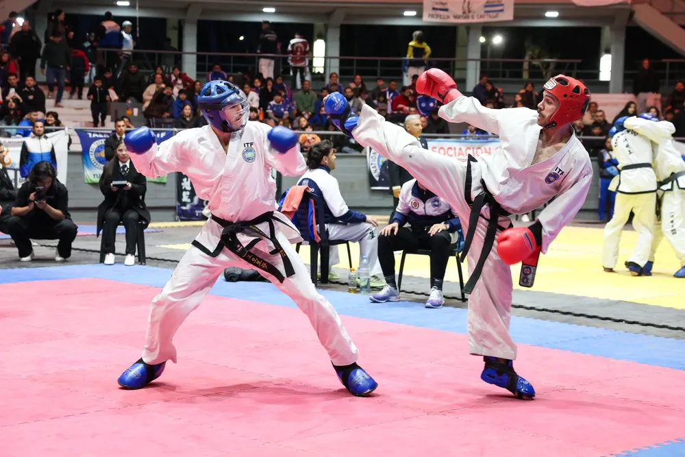 2025 torneo taekwondo palacio de los deportes (1)