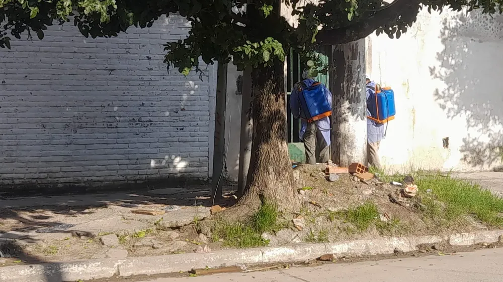 Plaga Pulgas Villa UrquizaWhatsApp Image 2024-03-04 at 16.05.14 (1)