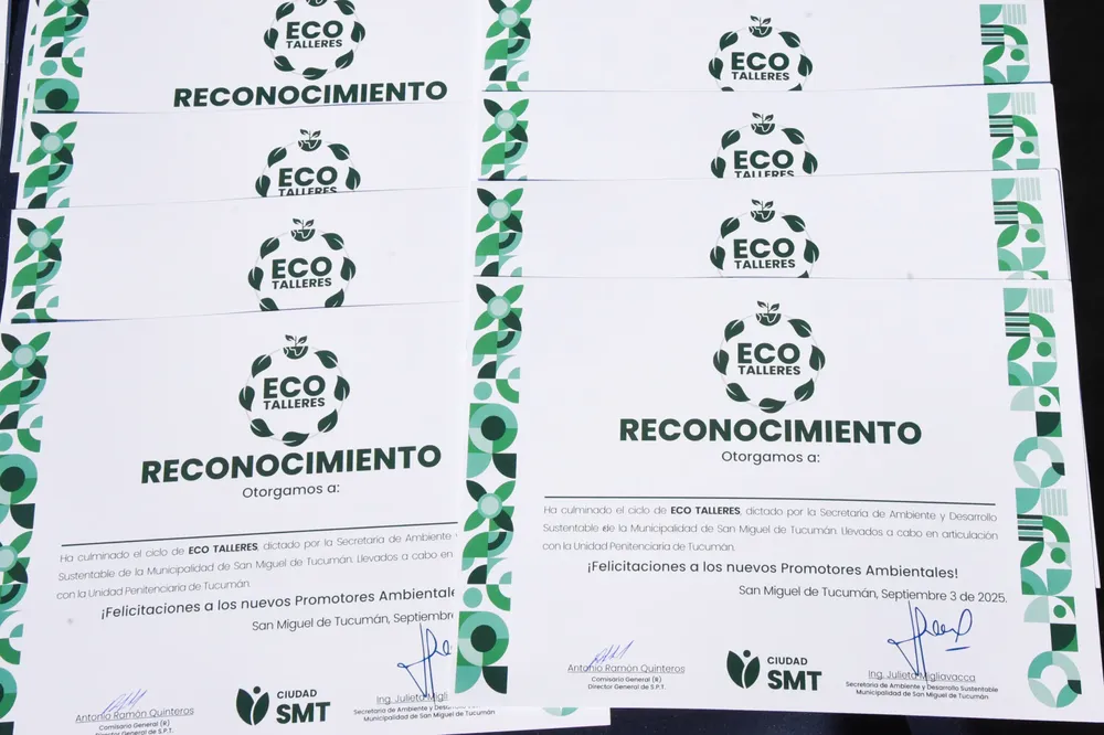 WhatsApp Image 2025-09-03 at 13.20.01 (1)