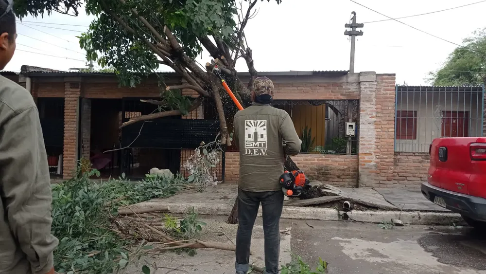 DC caida2024-02-06 at 10.05.26