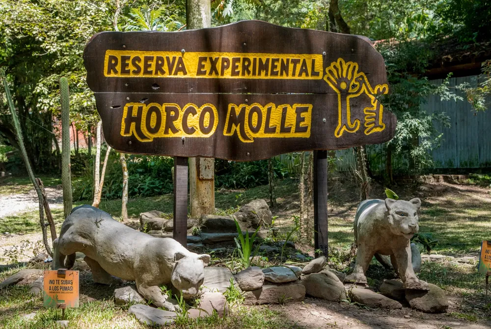 WhatsApp Image 2025-01-15 at 1.29.41 PM (1)